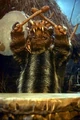 Teebo drum btm.jpg