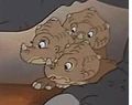 Ceras Nestmates.JPG