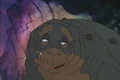 Rooter.jpg