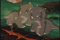 Dinah & Dana.jpg