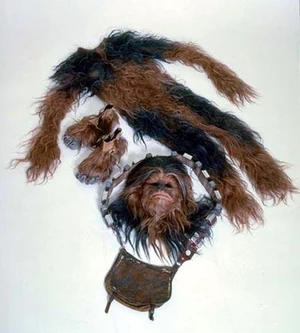 Chewie suit btm.jpg