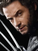 Wolverine x3