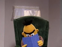 Bertbook-lion