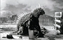Varan