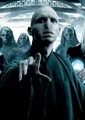 Voldemort&Co.jpg