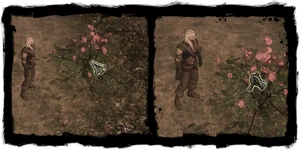 Tutorial herbalism