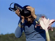 Spock paradise.jpg