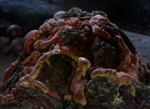 Horta.jpg