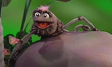 Sidspider
