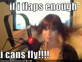 Vcansfly.jpg