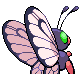 Imagen posterior de Butterfree variocolor macho en la cuarta generación