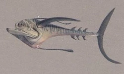 Ray.jpg
