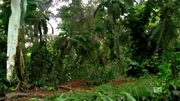3x15-monster-visualfx.jpg