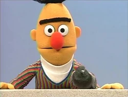 BertBernice1