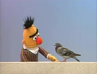 BertBernice3.jpg