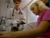 3787.Veterinarian.jpg