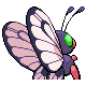 Imagen posterior de Butterfree variocolor hembra en la cuarta generación