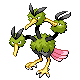 Dodrio DP variocolor