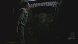 Backroom.jpg
