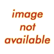 Noimage