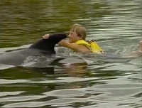 Billydolphins