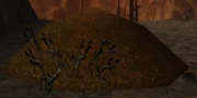 Volcanic Ash.jpg