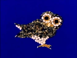 OwlSeeds