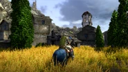 Aoc poitain 4