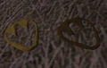 Hoofprints.jpg