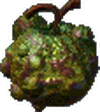 Chem fruit