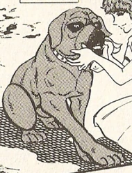 Pete