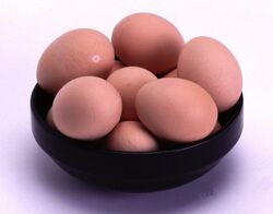Egg