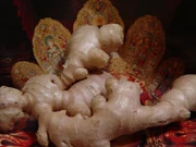 Ginger1