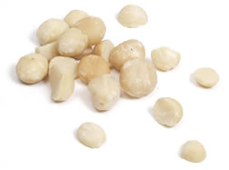 Macadamia Nut