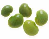 Lbean