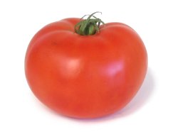 GlobeTomato