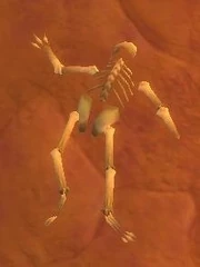 Mangled Human Remains.jpg