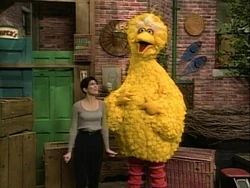 BBMarisaTomei.jpg
