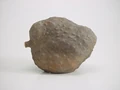Chirimoyamuseolarco.jpg