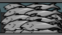 LotsOfGreyFish
