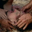 Steve-1x15.jpg
