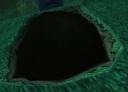 Eliza's Grave Dirt
