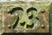 23Wood