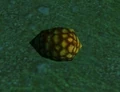 Ambercorn.jpg