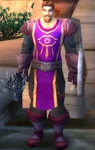 Dalaran Warder