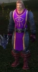 Dalaran Protector
