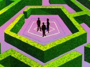 Irrgarten.jpg