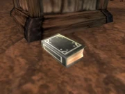 Goodsteel Ledger.jpg