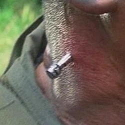 4x13 Stun dart closeup.jpg