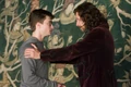 BlackTapestryHarrySirius.jpg